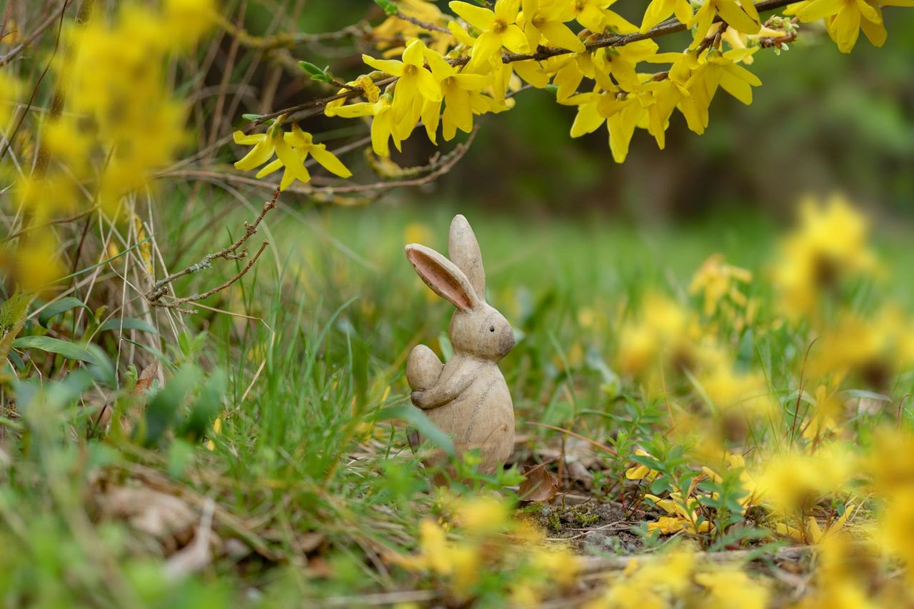 Pexels photo by Gundula Vogel/@guvo59